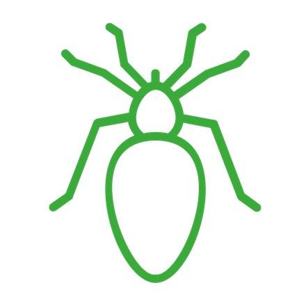 Parasite