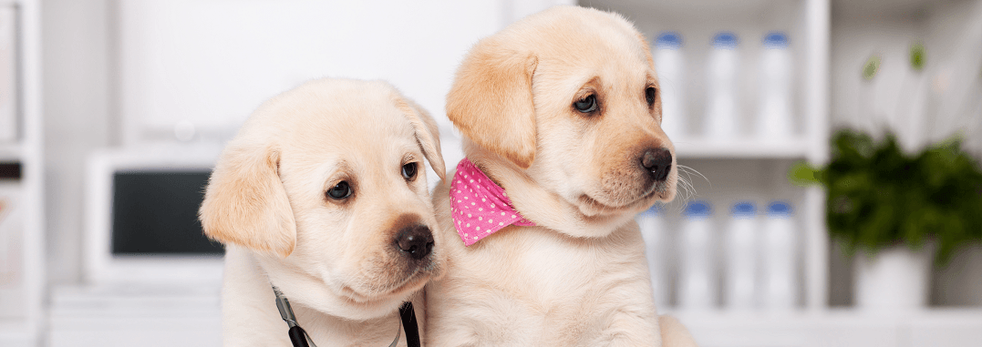 AdobeStock_254674061