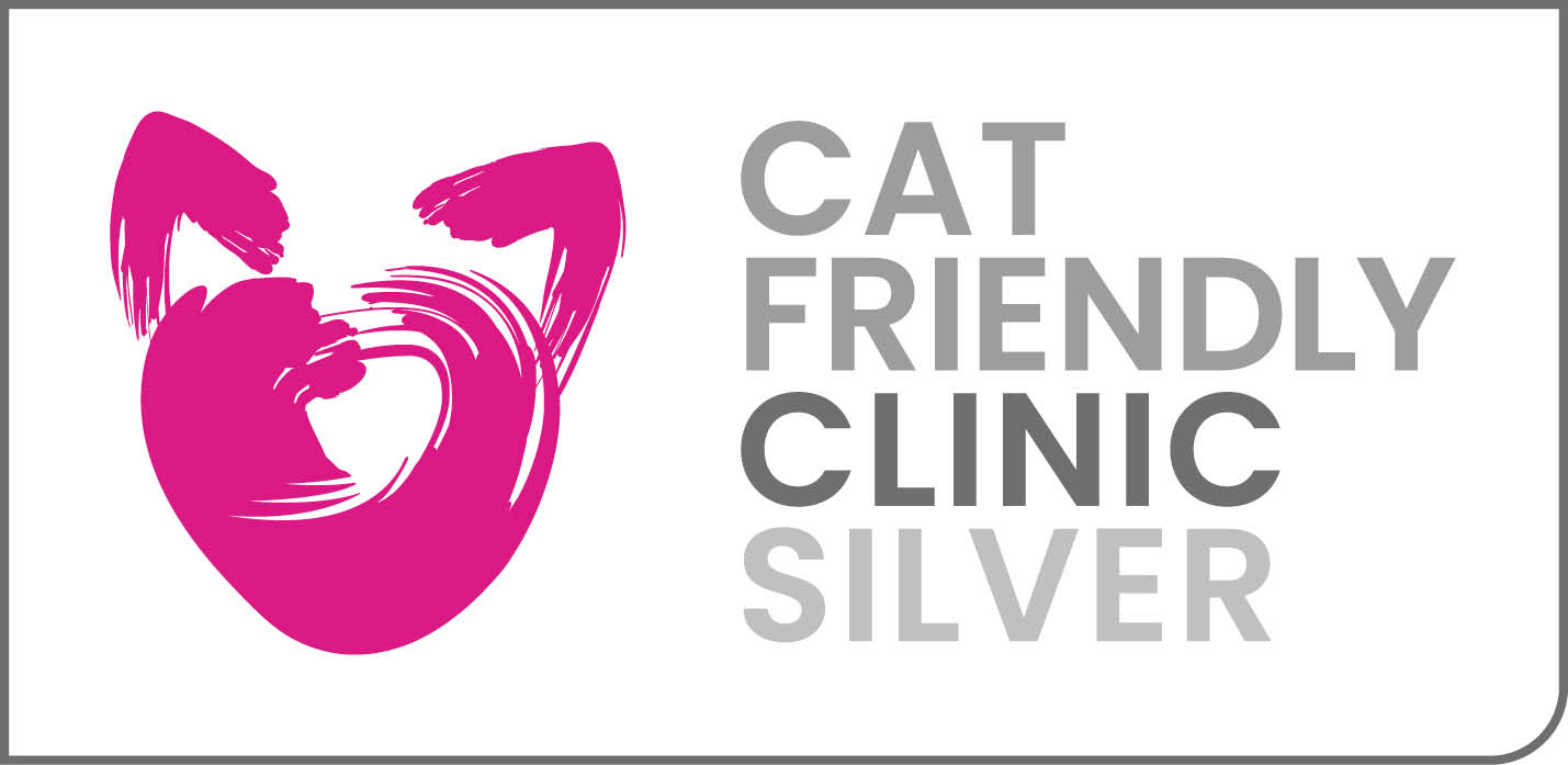 Cat-Friendly-Clinic-SILVER-logo-AW_1
