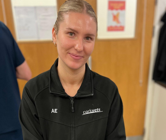 Screenshot 2026-02-10 121357