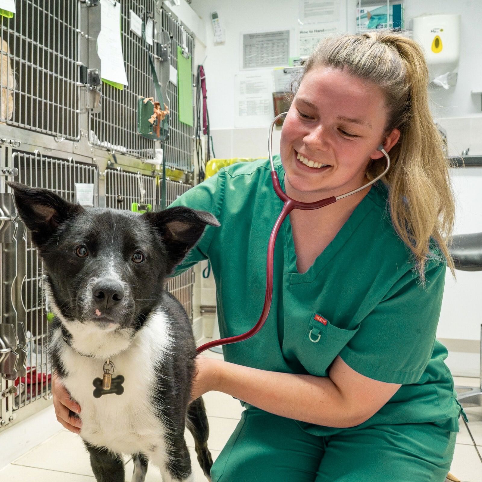 WhatsApp Image 2026-02-11 at 12.40.33