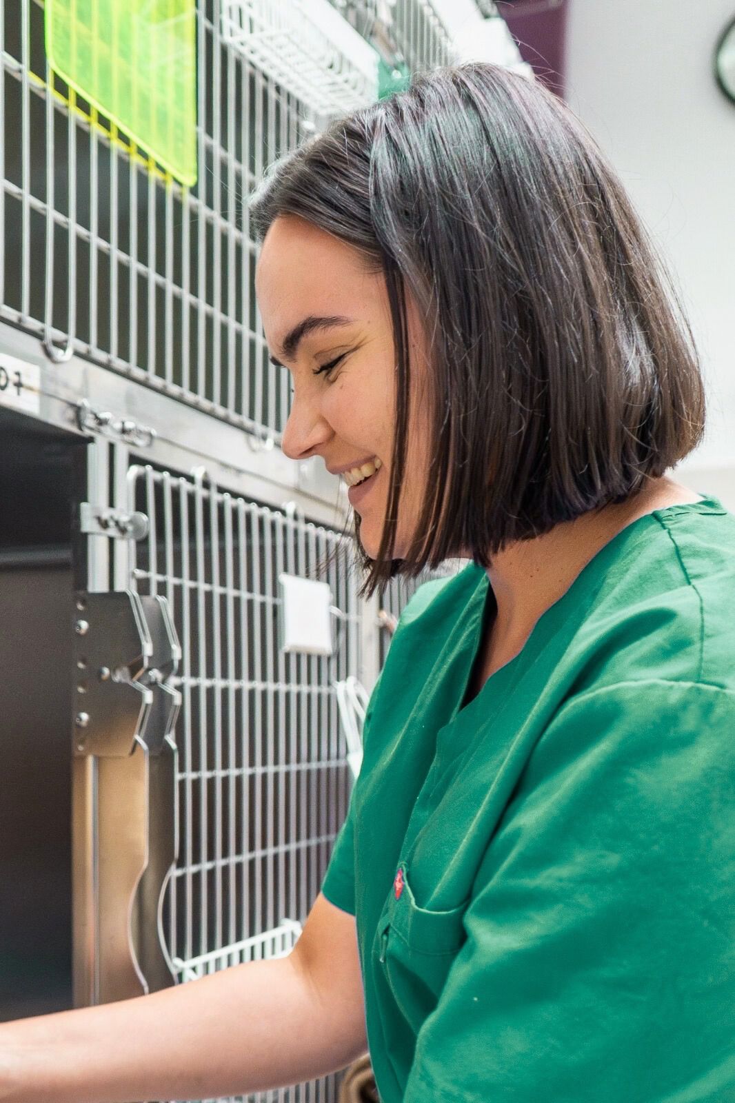 WhatsApp Image 2026-02-11 at 12.55.12 (1)